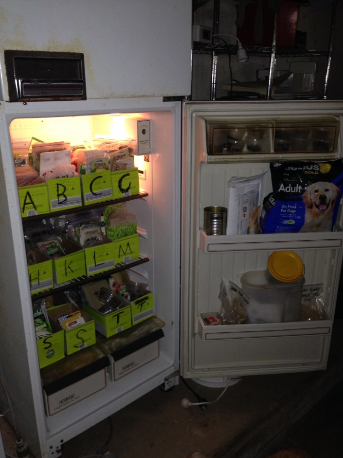 The G.E.T. seed library