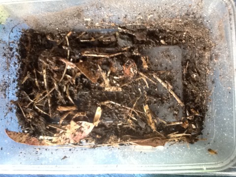 Velvet soap spry test