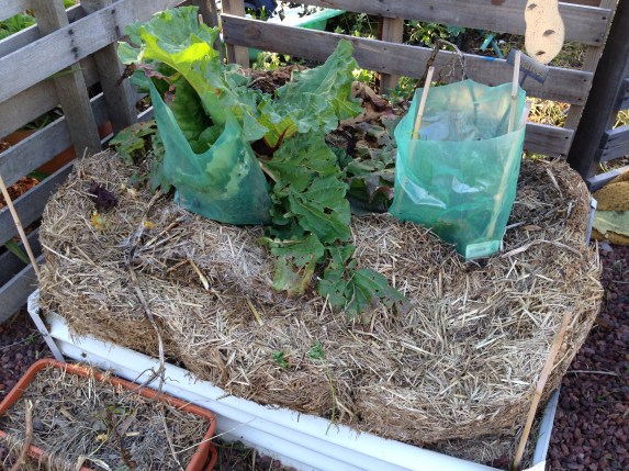 7E09C021-A69B-4CED-9EAD-857FF85C7B56